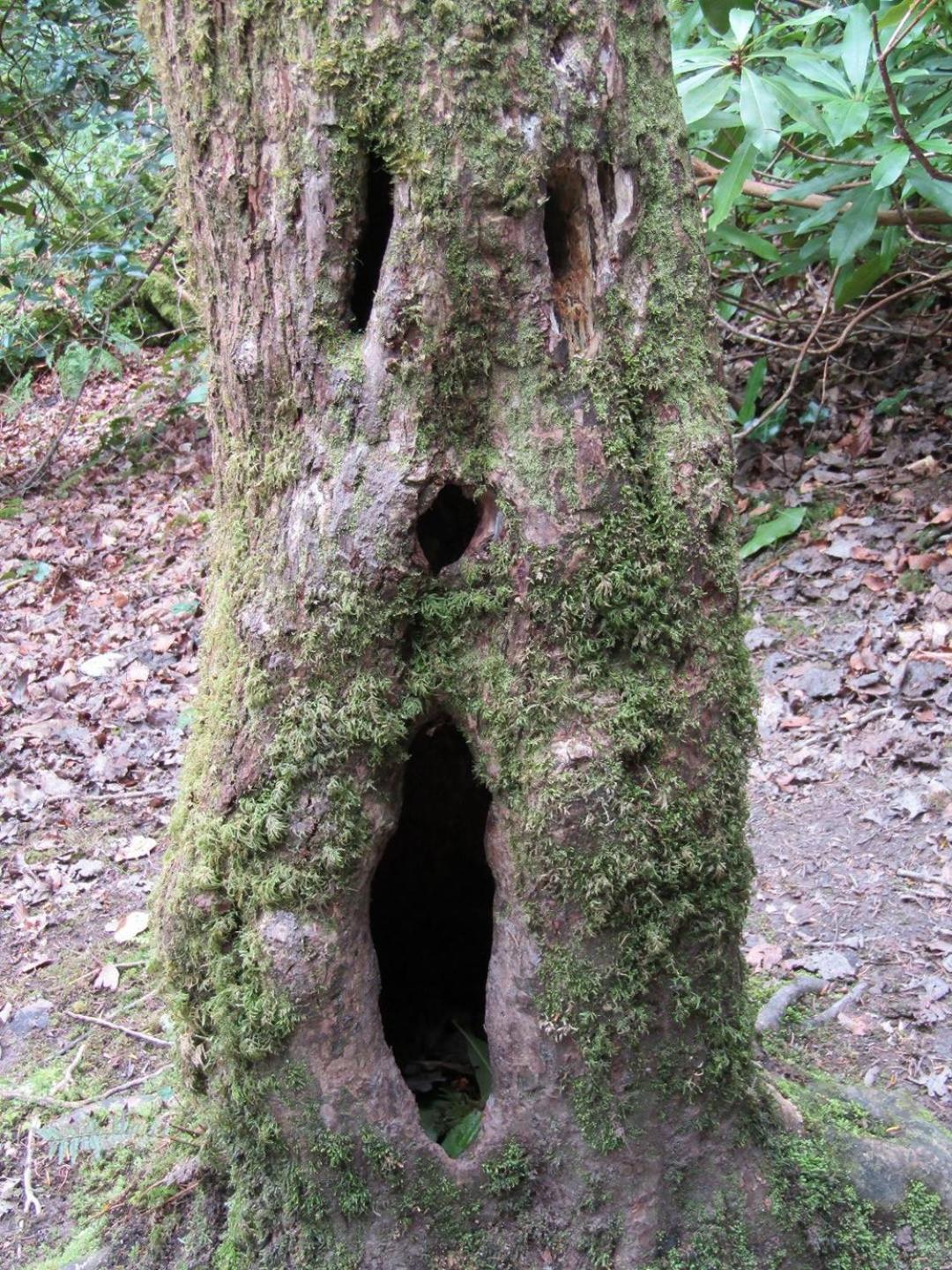 바이에르스브론 Naehe Nationalpark 아파트 외부 사진